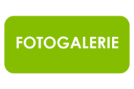 Fotogalerie