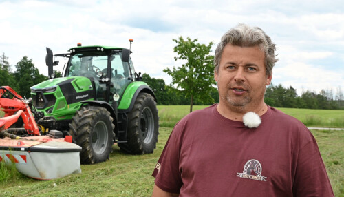 Vlastimil Bočánek - Daisy Ranch